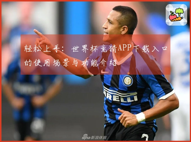 轻松上手：世界杯竞猜APP下载入口的使用场景与功能介绍