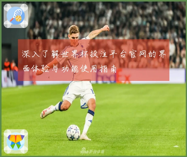 深入了解世界杯投注平台官网的界面体验与功能使用指南