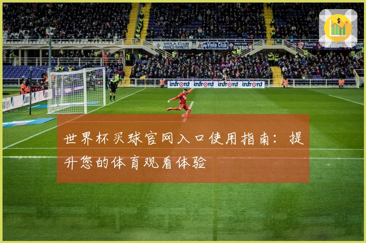 世界杯买球官网入口使用指南：提升您的体育观看体验