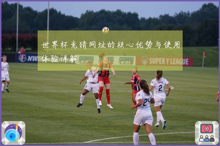 世界杯竞猜网址的核心优势与使用体验详解