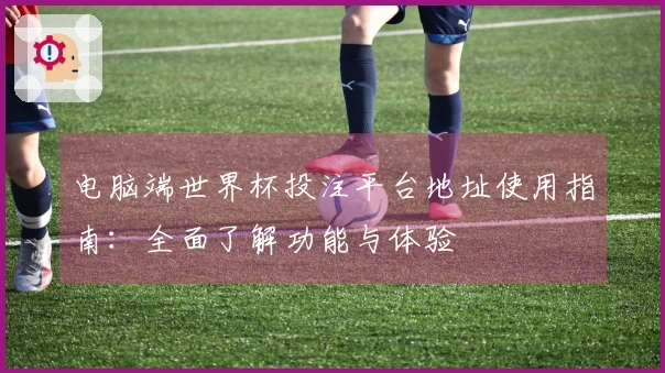 电脑端世界杯投注平台地址使用指南：全面了解功能与体验