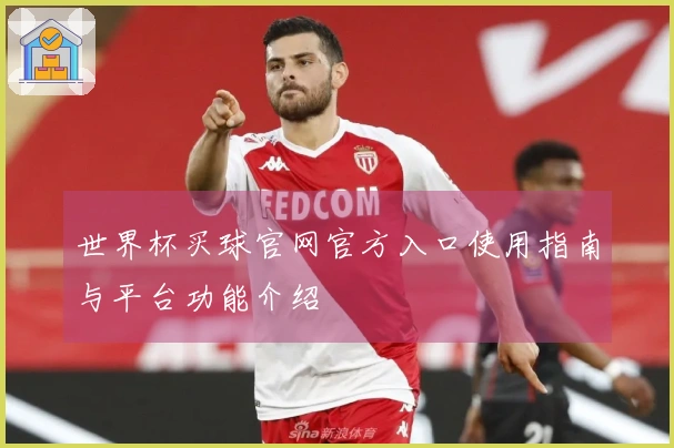 世界杯买球官网官方入口使用指南与平台功能介绍