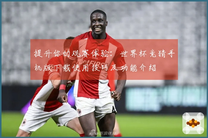 提升你的观赛体验：世界杯竞猜手机版下载使用技巧及功能介绍