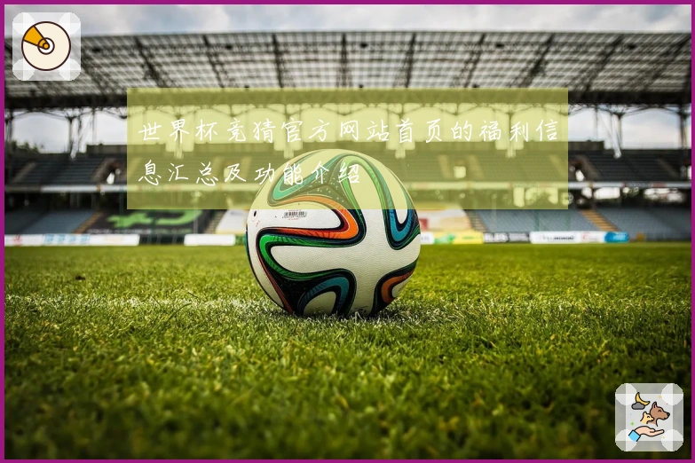 世界杯竞猜官方网站首页的福利信息汇总及功能介绍