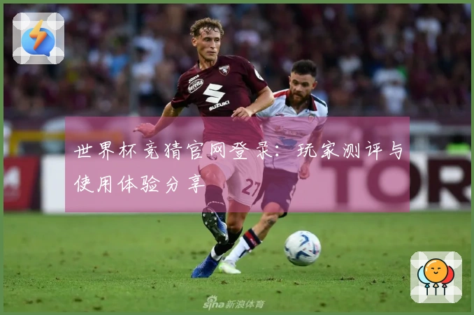 世界杯竞猜官网登录：玩家测评与使用体验分享
